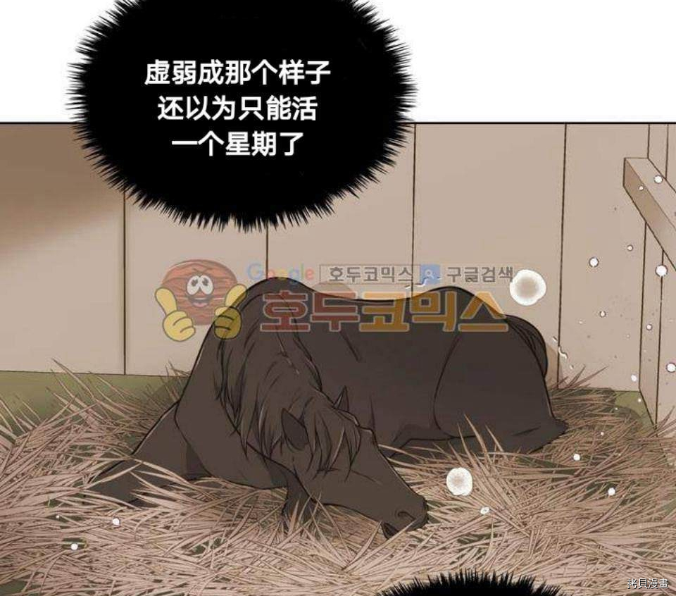 比亚特丽丝[拷贝漫画]韩漫全集-第18话无删减无遮挡章节图片 
