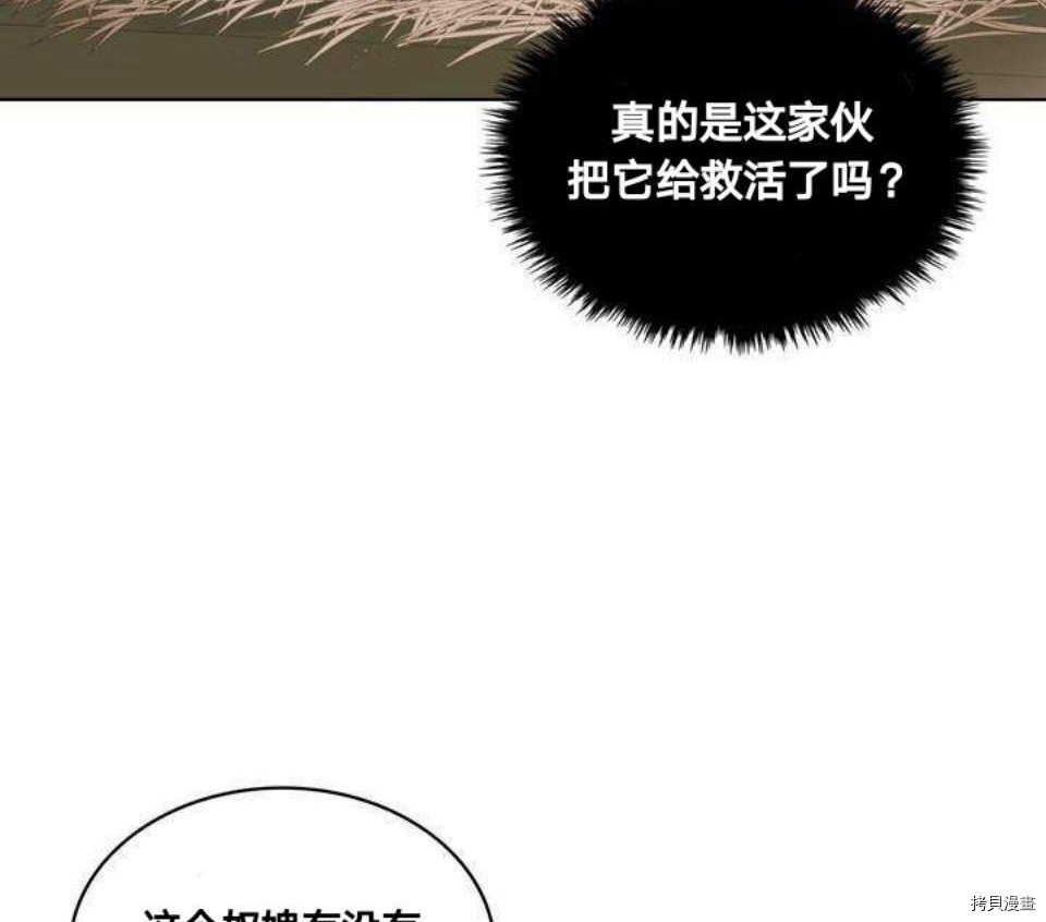 比亚特丽丝[拷贝漫画]韩漫全集-第18话无删减无遮挡章节图片 