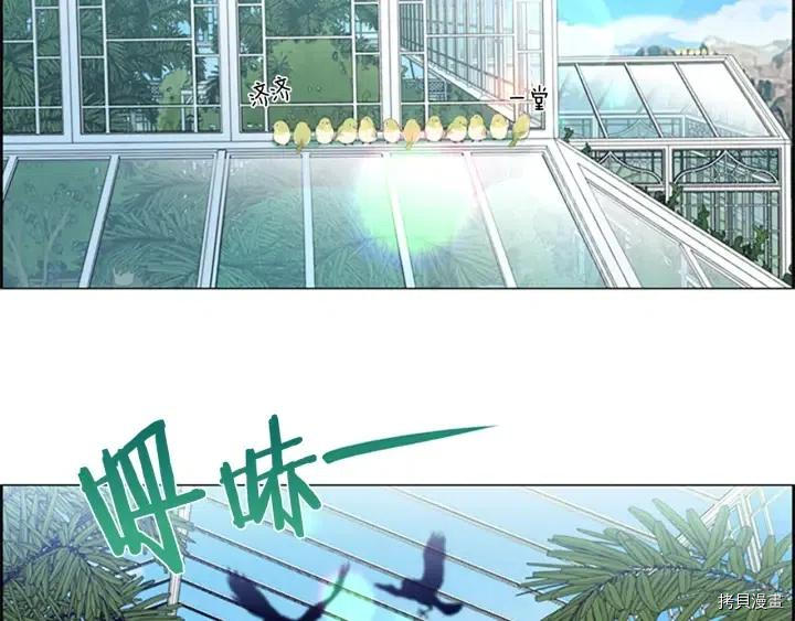 成为女王的女人[拷贝漫画]韩漫全集-第64話无删减无遮挡章节图片 