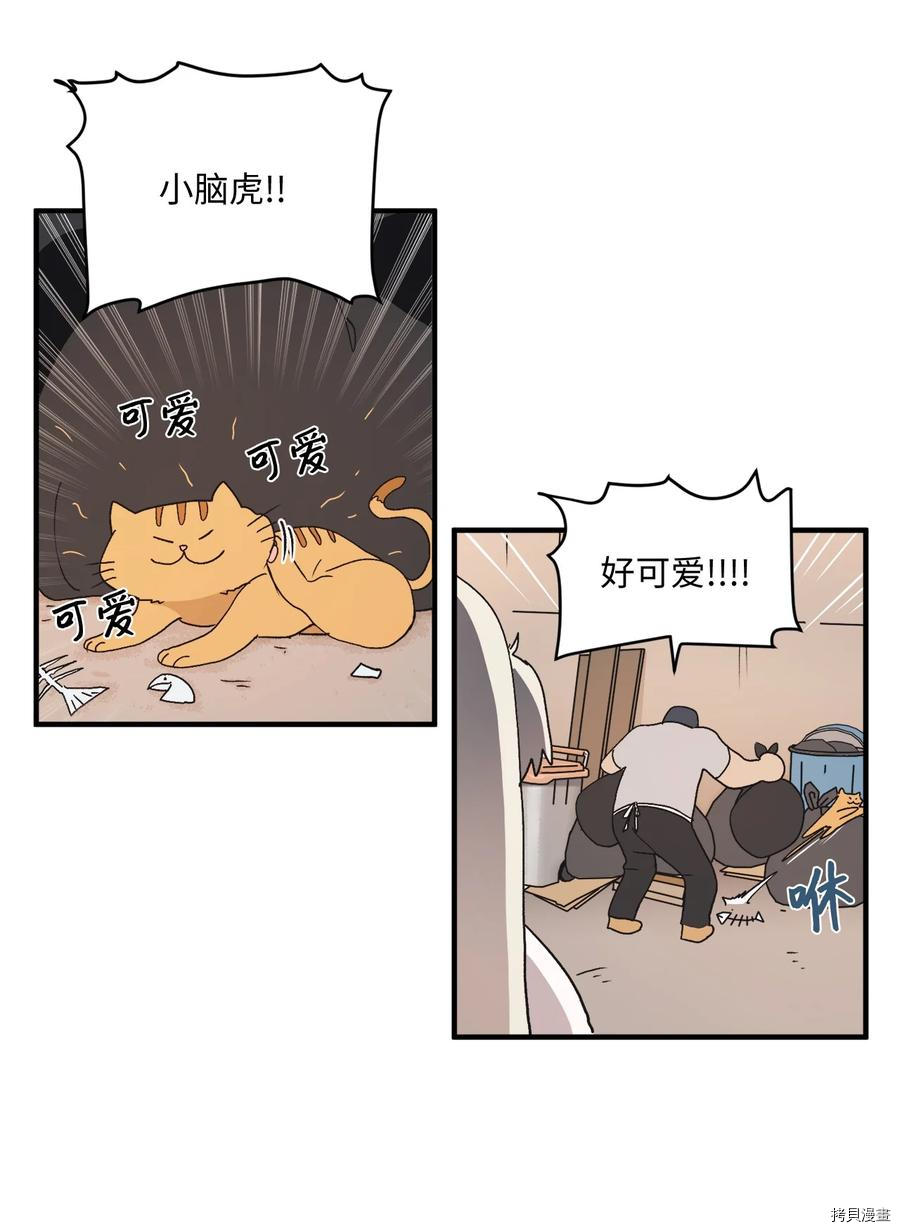 旦旦好友[拷贝漫画]韩漫全集-第75话无删减无遮挡章节图片 