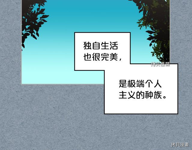 毒皇妃也有可爱闺蜜？[拷贝漫画]韩漫全集-第106话无删减无遮挡章节图片 