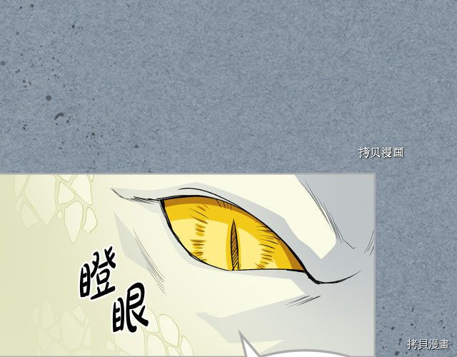 毒皇妃也有可爱闺蜜？[拷贝漫画]韩漫全集-第106话无删减无遮挡章节图片 