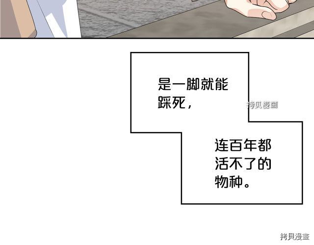 毒皇妃也有可爱闺蜜？[拷贝漫画]韩漫全集-第106话无删减无遮挡章节图片 