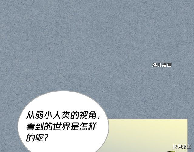 毒皇妃也有可爱闺蜜？[拷贝漫画]韩漫全集-第106话无删减无遮挡章节图片 