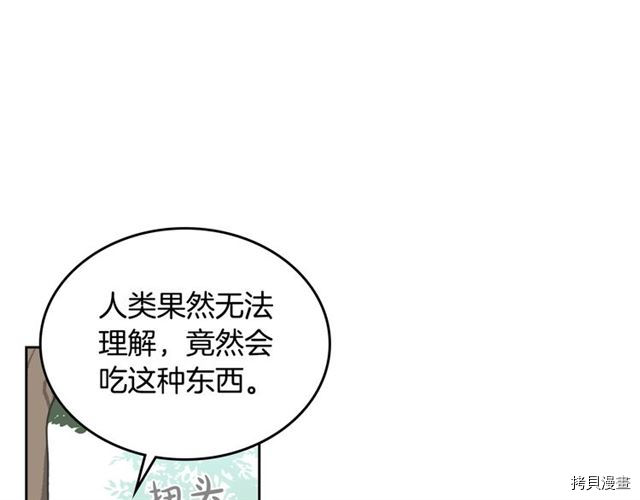 毒皇妃也有可爱闺蜜？[拷贝漫画]韩漫全集-第14话无删减无遮挡章节图片 