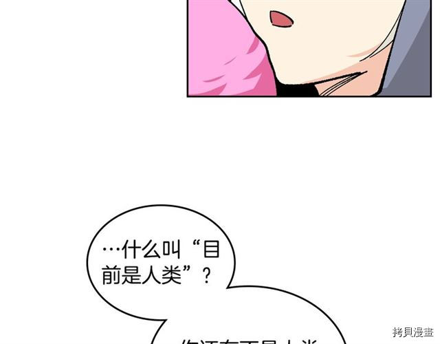 毒皇妃也有可爱闺蜜？[拷贝漫画]韩漫全集-第18话无删减无遮挡章节图片 