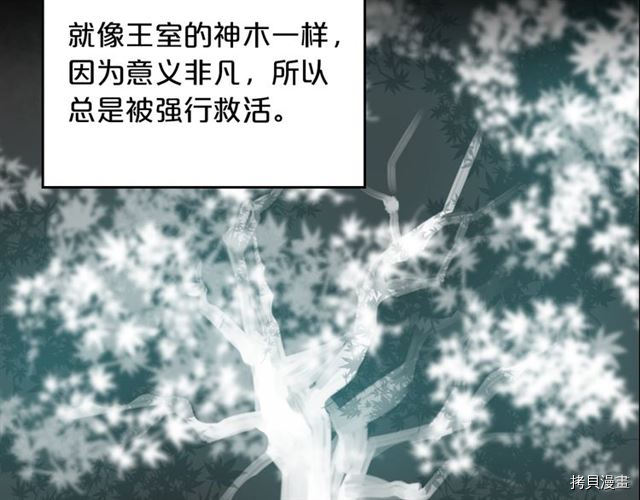 毒皇妃也有可爱闺蜜？[拷贝漫画]韩漫全集-第06话无删减无遮挡章节图片 