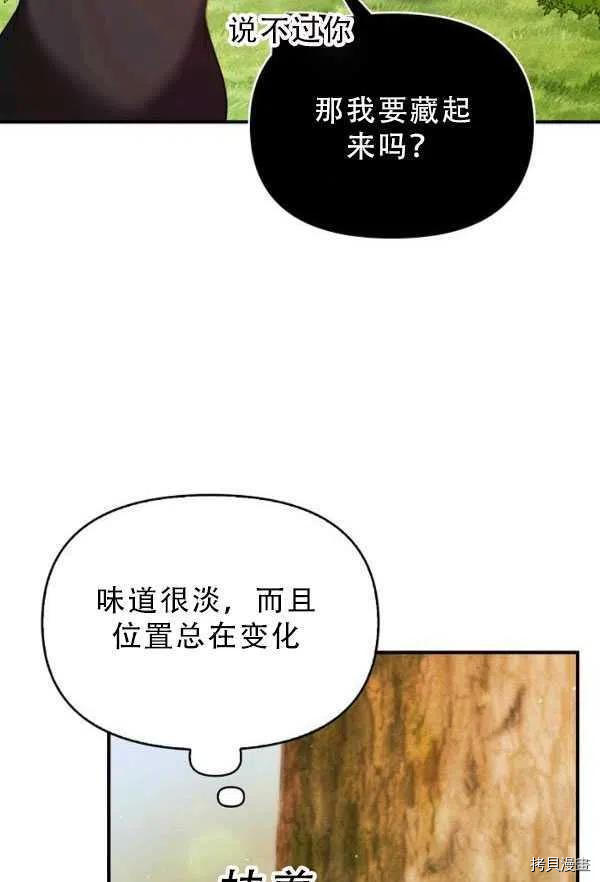 反派大公最珍贵的妹妹[拷贝漫画]韩漫全集-第33话无删减无遮挡章节图片 