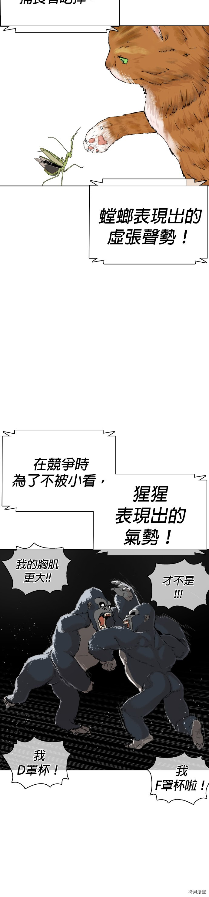格斗实况[拷贝漫画]韩漫全集-第23話无删减无遮挡章节图片 