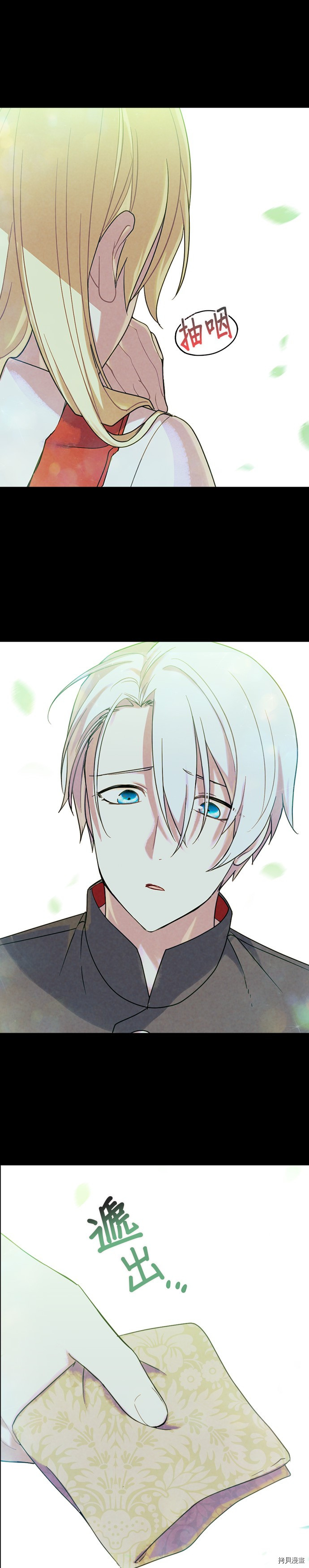 国王与圣骑士的掠夺婚姻[拷贝漫画]韩漫全集-第13话无删减无遮挡章节图片 