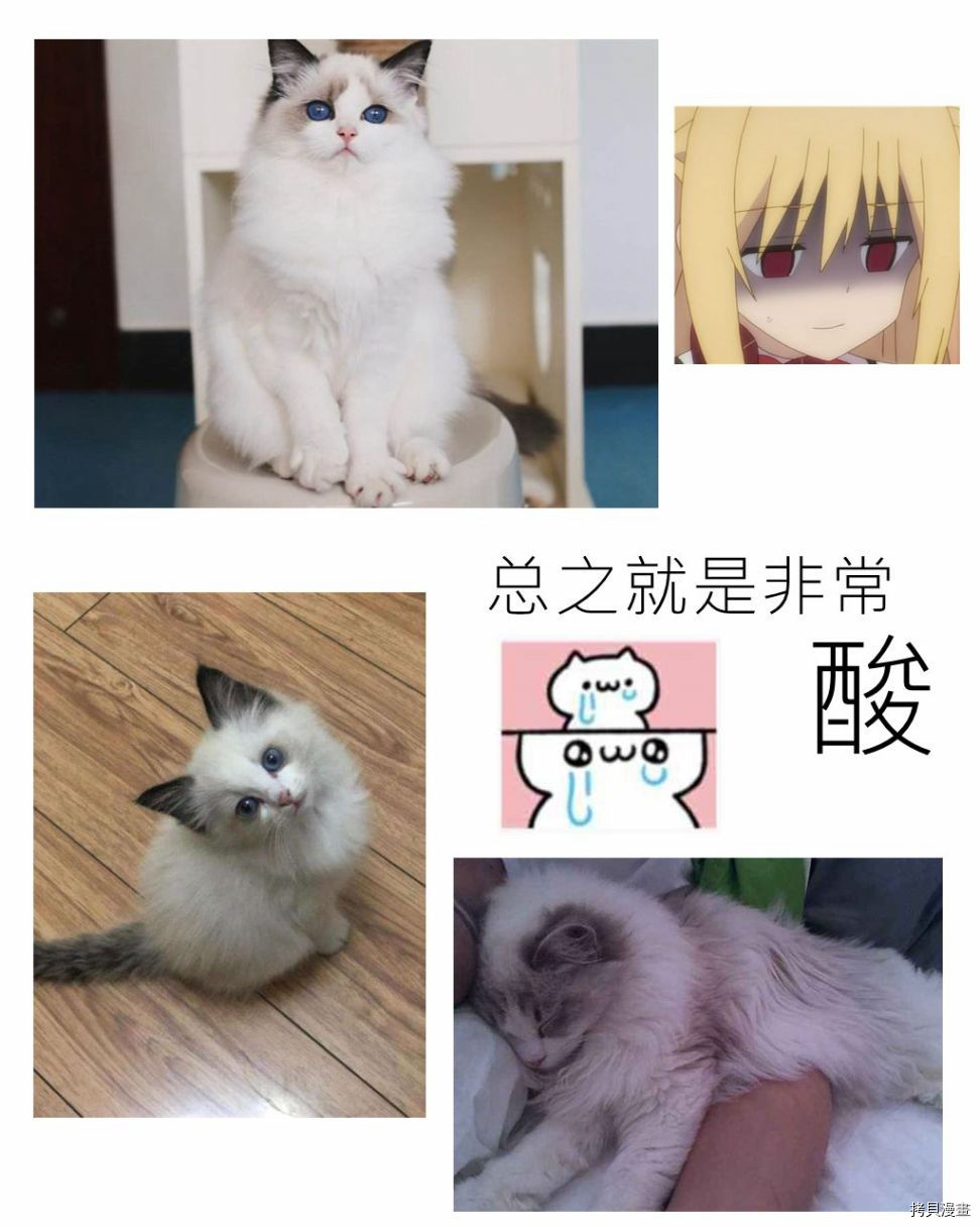 ibenz009 transformation[拷贝漫画]韩漫全集-11月18日更新无删减无遮挡章节图片 