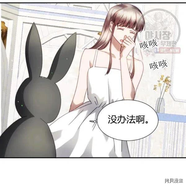 假公主的高级兔子[拷贝漫画]韩漫全集-第22话无删减无遮挡章节图片 