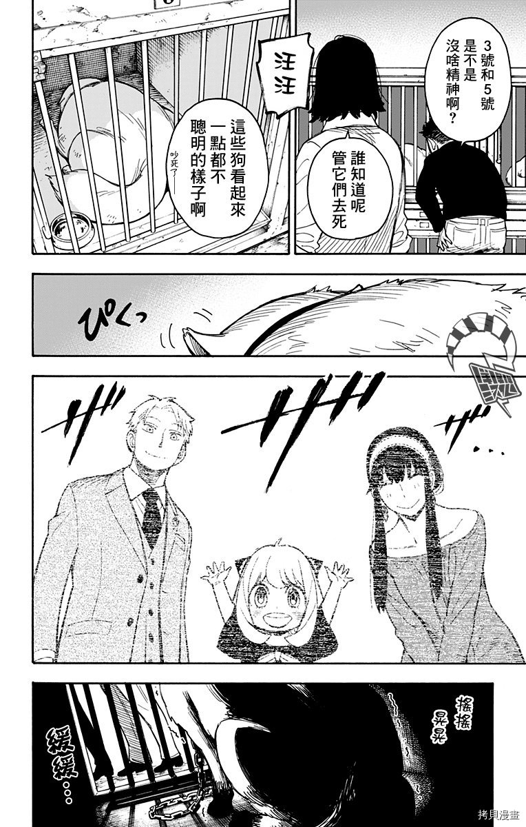 间谍过家家[拷贝漫画]韩漫全集-第17话无删减无遮挡章节图片 