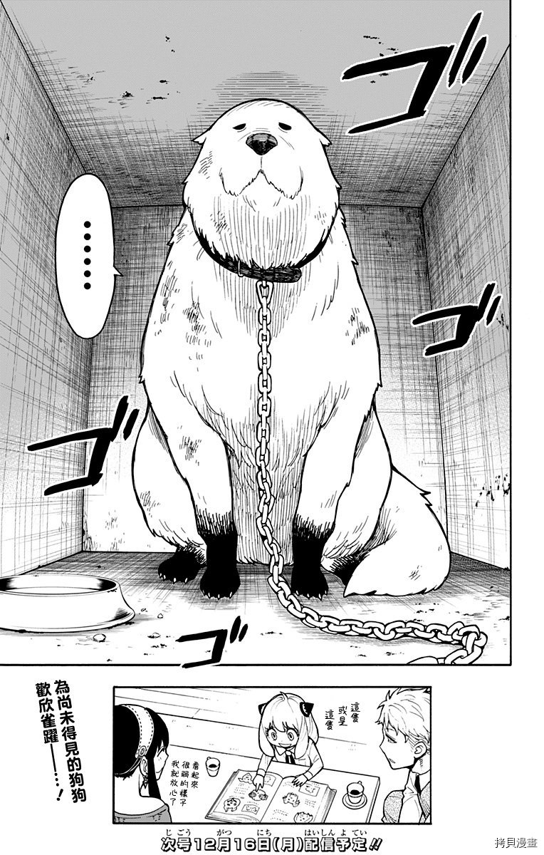 间谍过家家[拷贝漫画]韩漫全集-第17话无删减无遮挡章节图片 
