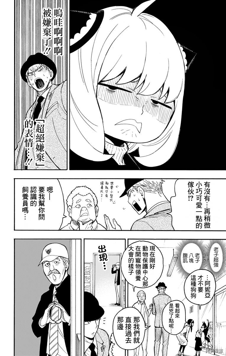 间谍过家家[拷贝漫画]韩漫全集-第18话无删减无遮挡章节图片 