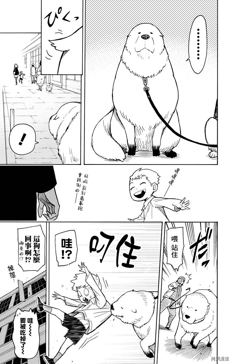 间谍过家家[拷贝漫画]韩漫全集-第18话无删减无遮挡章节图片 