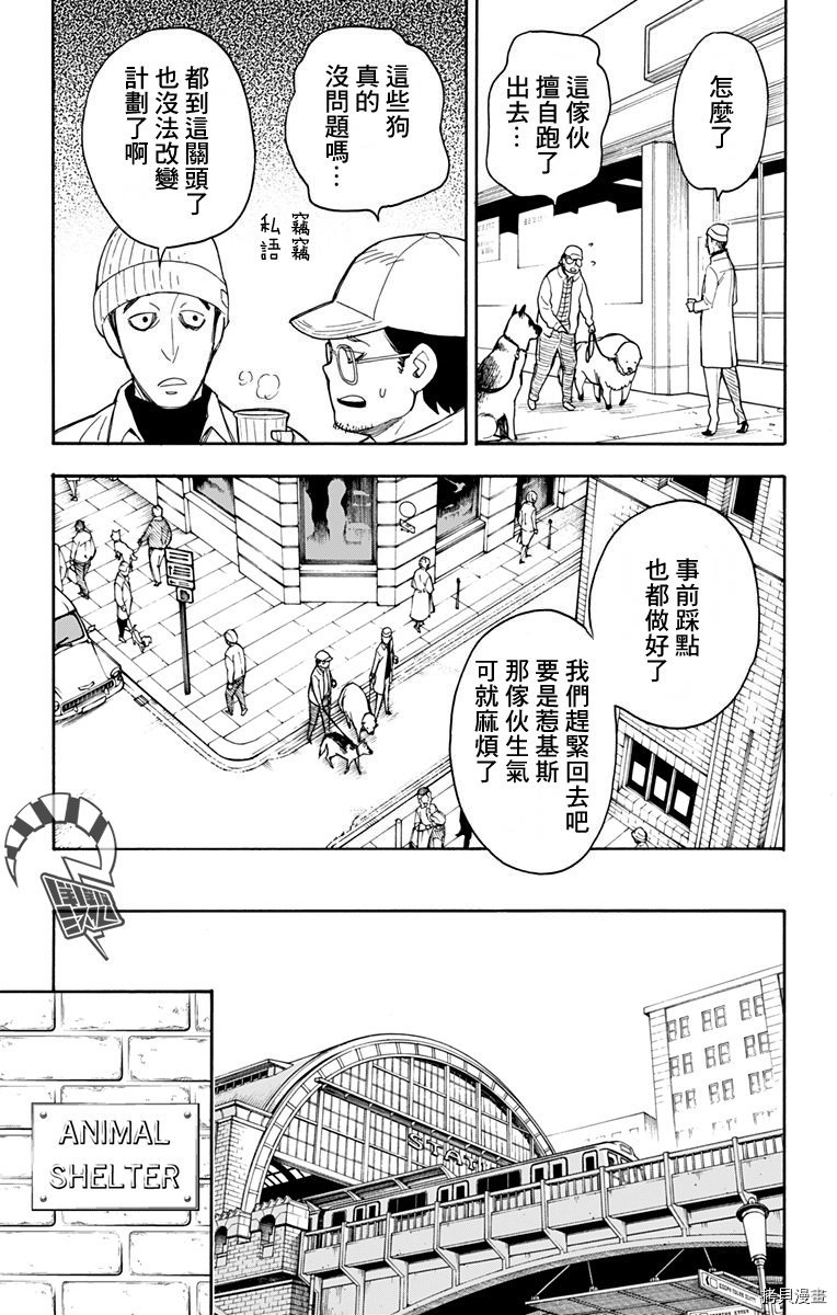 间谍过家家[拷贝漫画]韩漫全集-第18话无删减无遮挡章节图片 