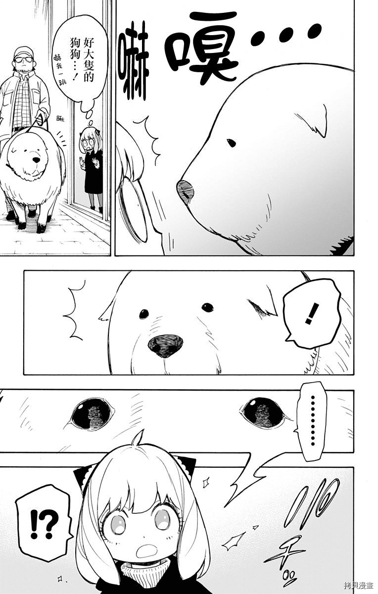 间谍过家家[拷贝漫画]韩漫全集-第18话无删减无遮挡章节图片 