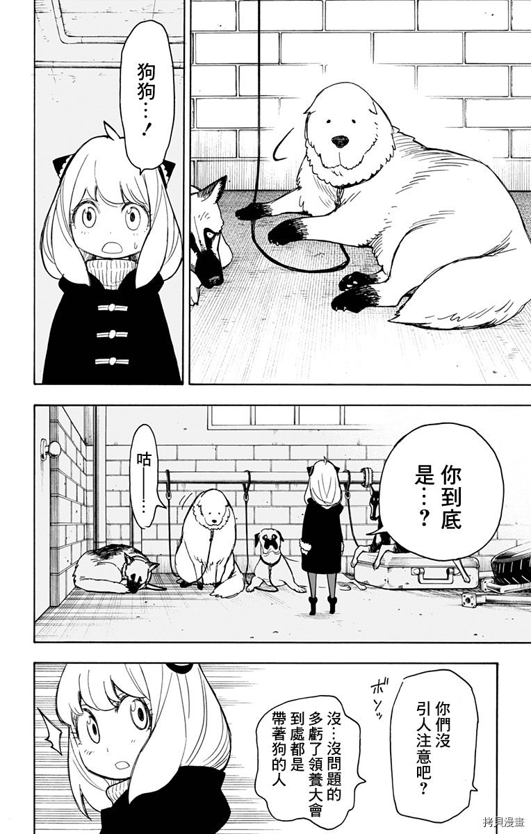 间谍过家家[拷贝漫画]韩漫全集-第18话无删减无遮挡章节图片 