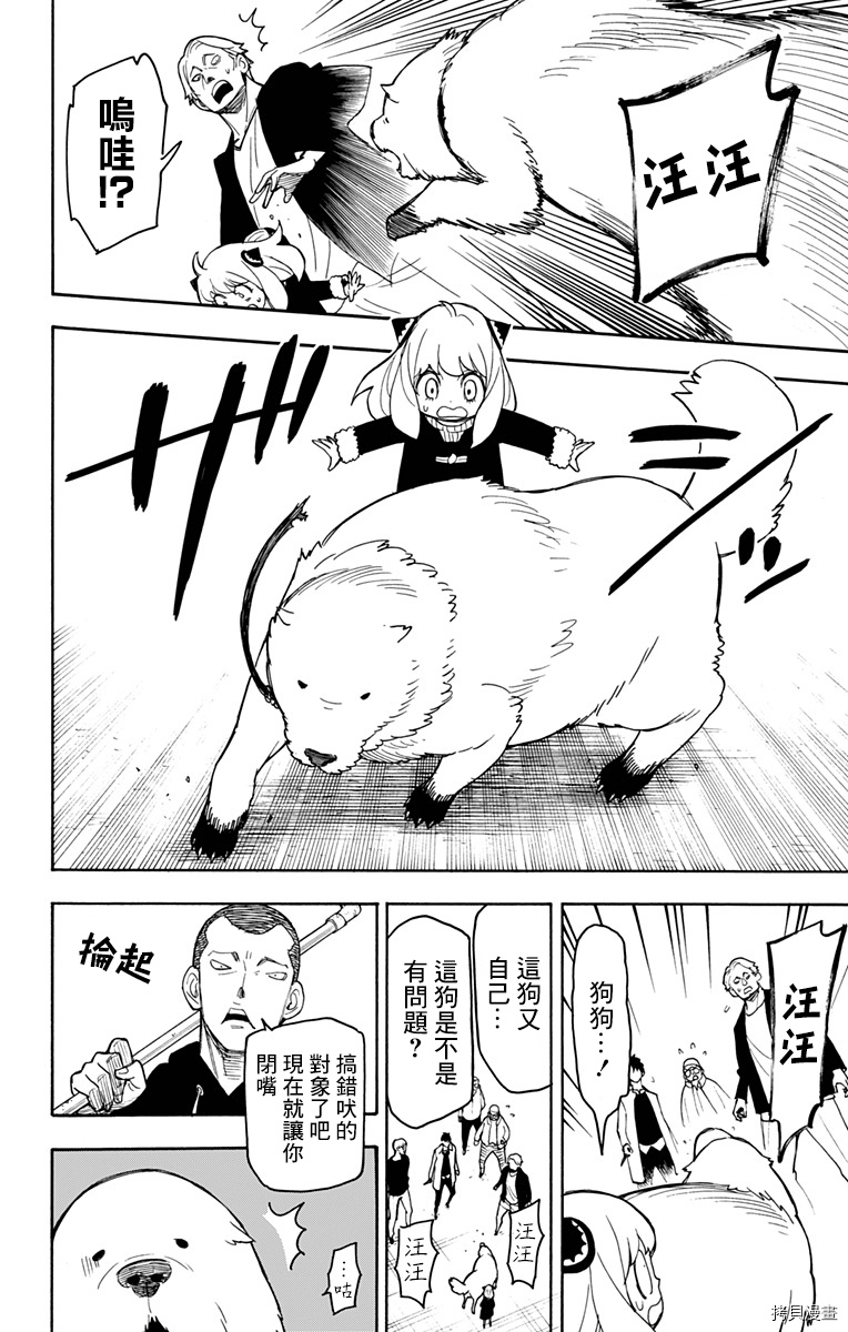 间谍过家家[拷贝漫画]韩漫全集-第19话无删减无遮挡章节图片 
