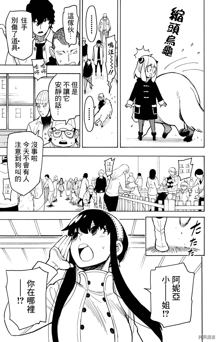 间谍过家家[拷贝漫画]韩漫全集-第19话无删减无遮挡章节图片 