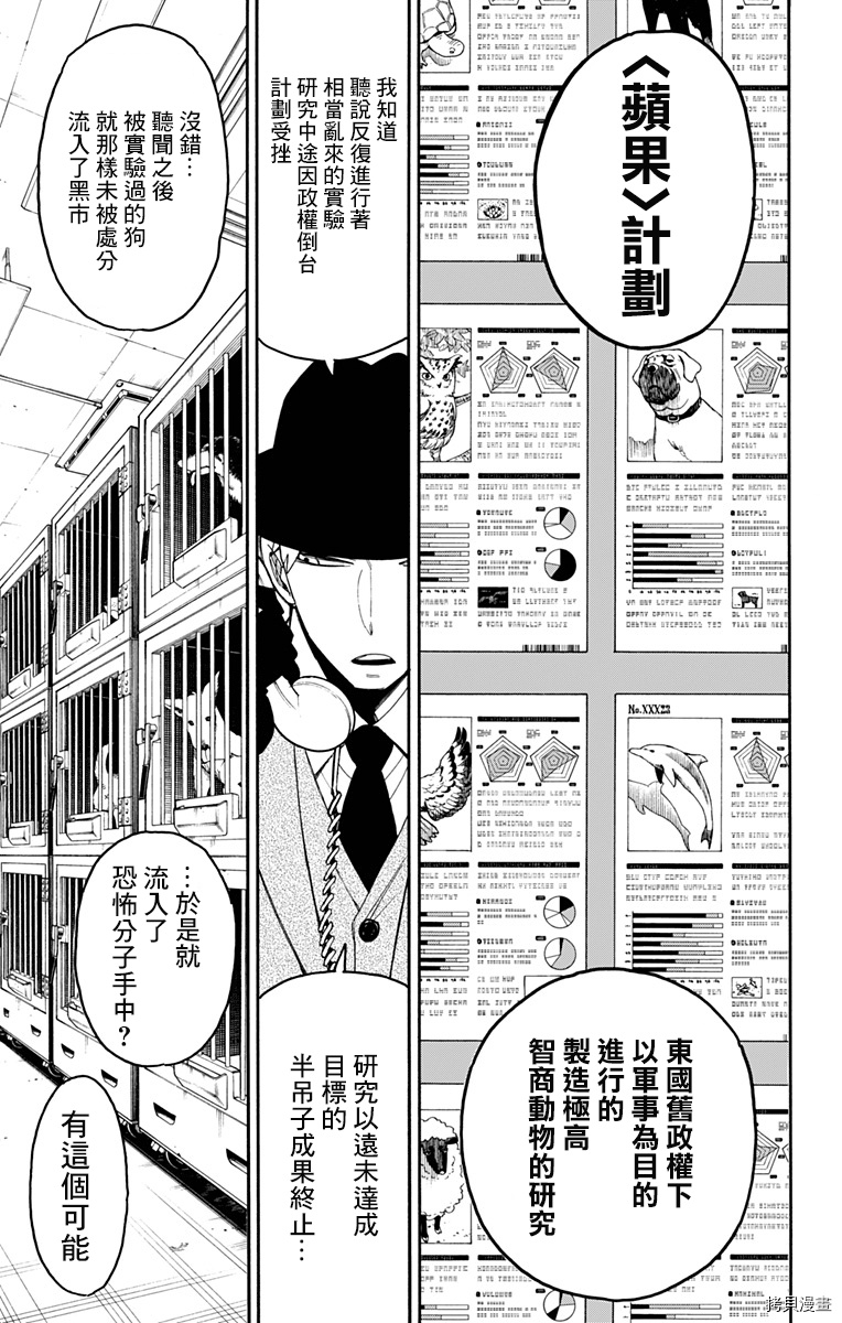 间谍过家家[拷贝漫画]韩漫全集-第19话无删减无遮挡章节图片 