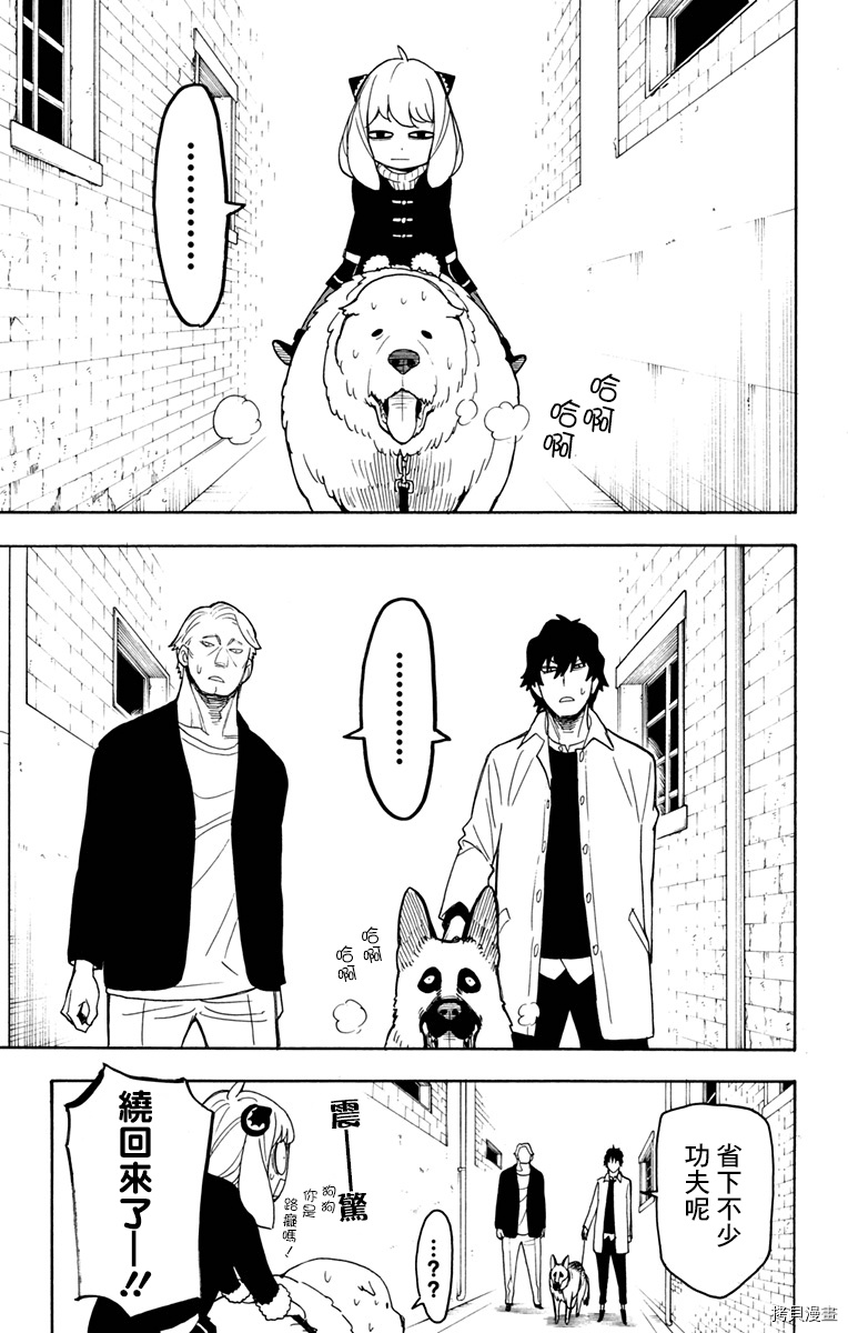 间谍过家家[拷贝漫画]韩漫全集-第19话无删减无遮挡章节图片 