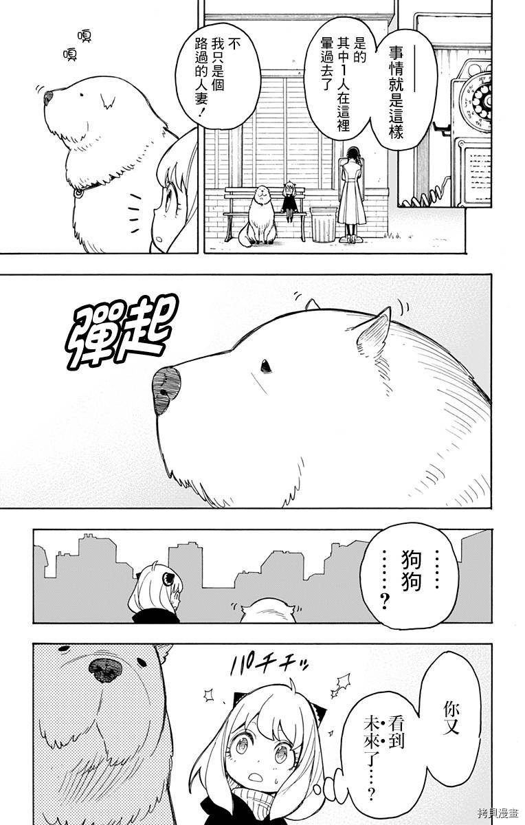 间谍过家家[拷贝漫画]韩漫全集-第20话无删减无遮挡章节图片 