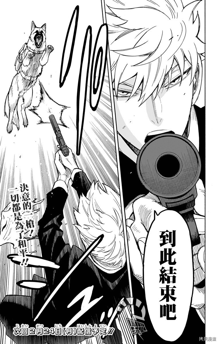 间谍过家家[拷贝漫画]韩漫全集-第21话无删减无遮挡章节图片 