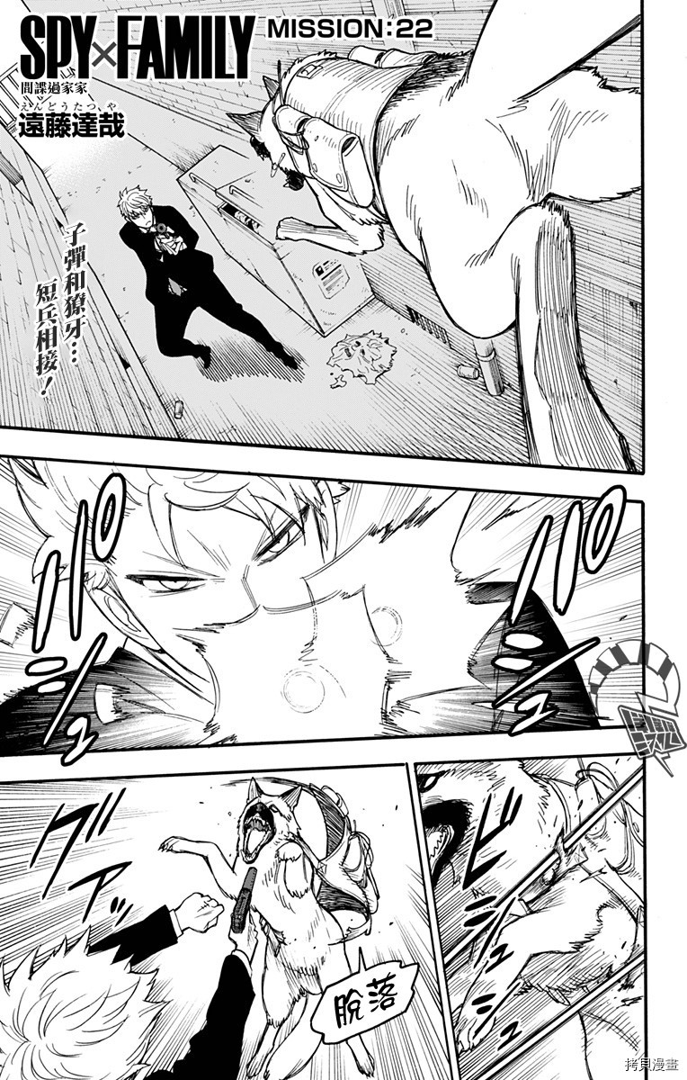 间谍过家家[拷贝漫画]韩漫全集-第22话无删减无遮挡章节图片 