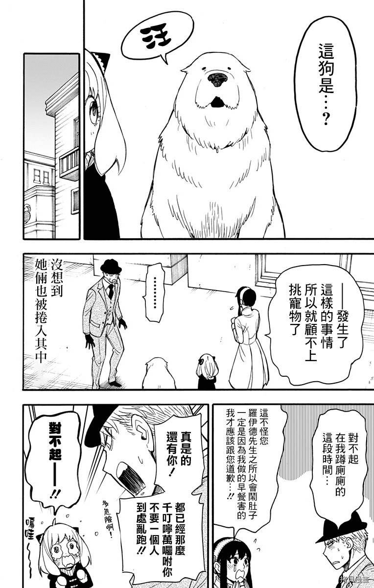 间谍过家家[拷贝漫画]韩漫全集-第22话无删减无遮挡章节图片 