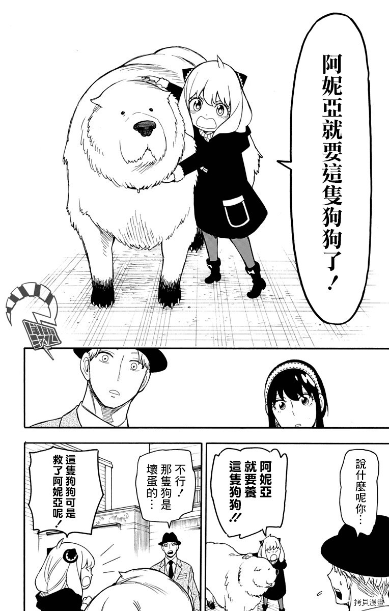 间谍过家家[拷贝漫画]韩漫全集-第22话无删减无遮挡章节图片 