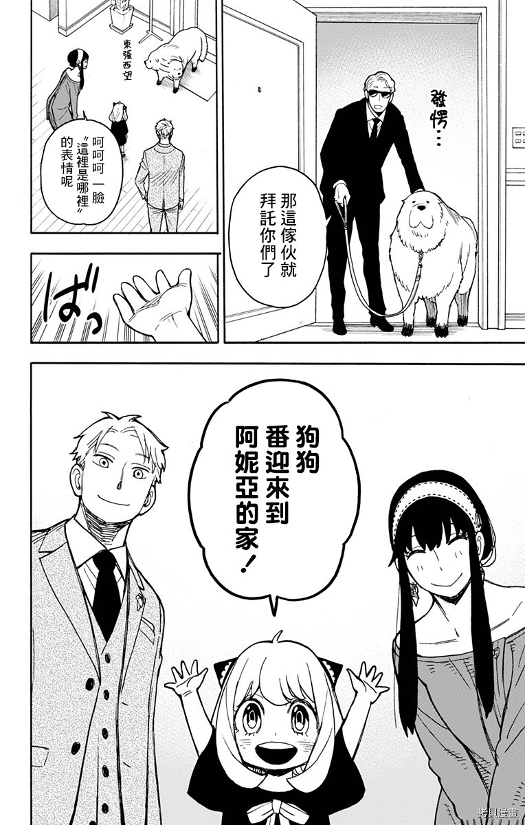 间谍过家家[拷贝漫画]韩漫全集-第22话无删减无遮挡章节图片 