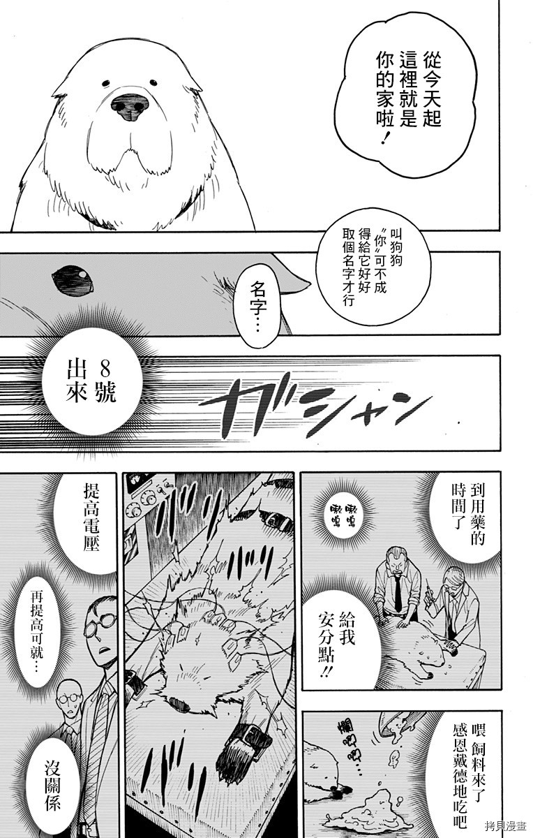 间谍过家家[拷贝漫画]韩漫全集-第22话无删减无遮挡章节图片 