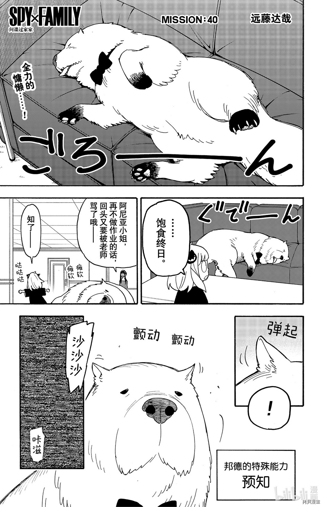 间谍过家家[拷贝漫画]韩漫全集-第40话无删减无遮挡章节图片 