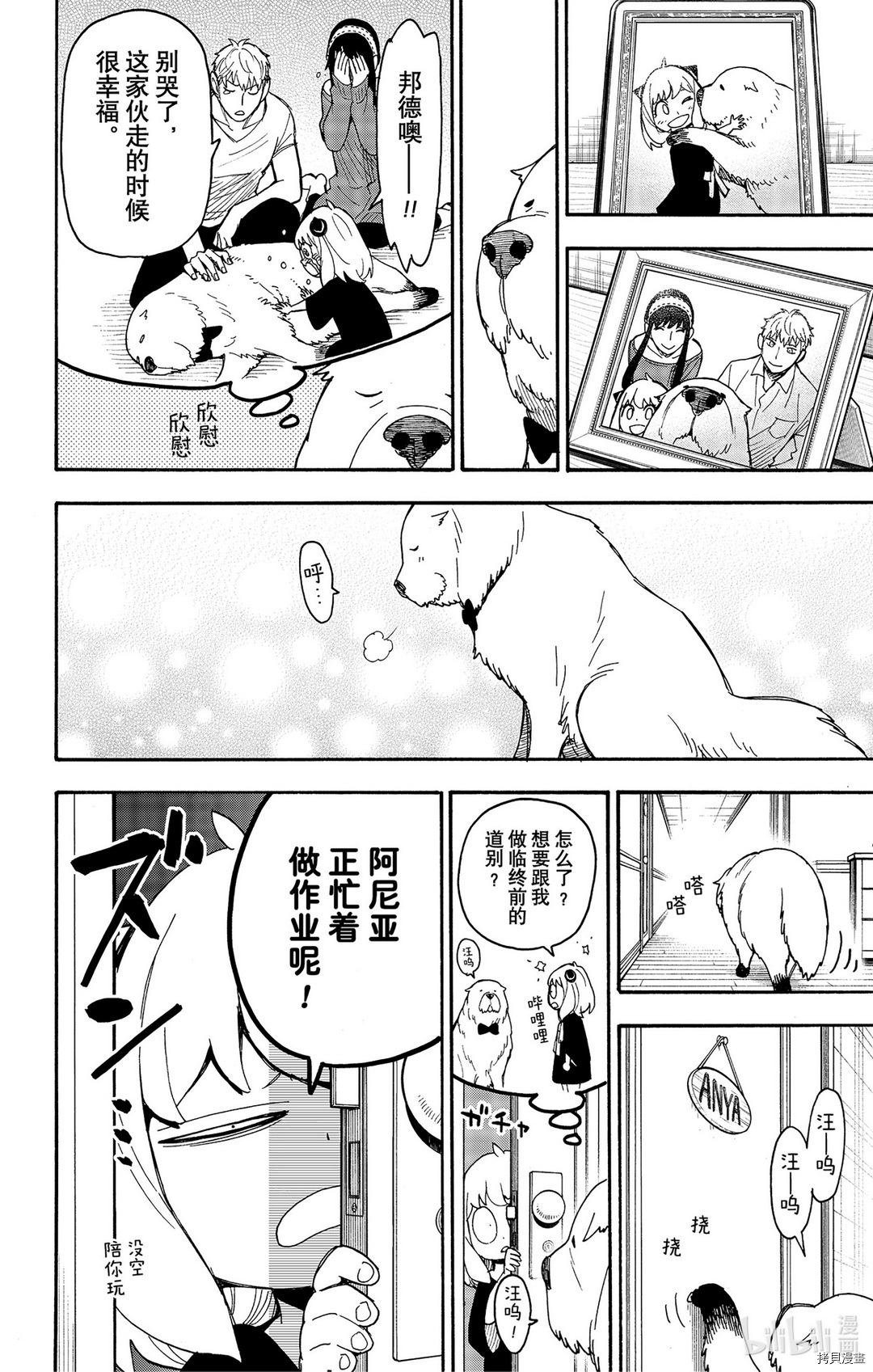 间谍过家家[拷贝漫画]韩漫全集-第40话无删减无遮挡章节图片 