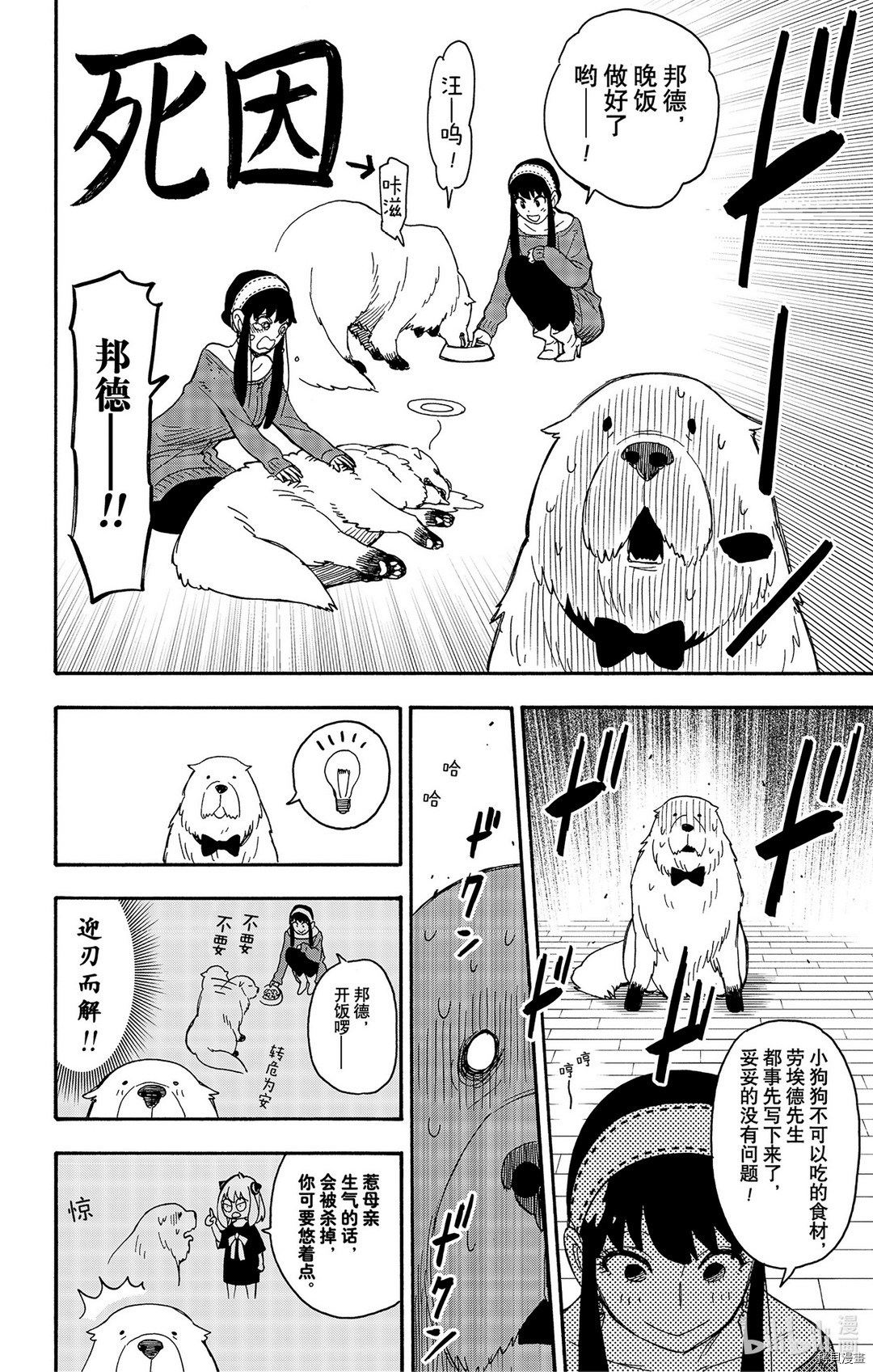 间谍过家家[拷贝漫画]韩漫全集-第40话无删减无遮挡章节图片 