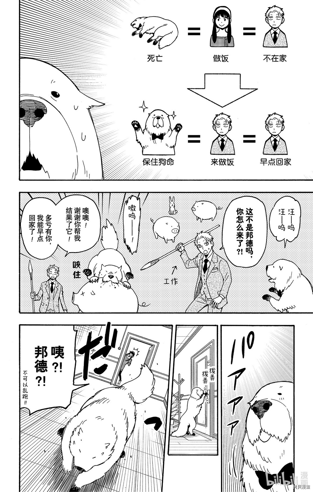 间谍过家家[拷贝漫画]韩漫全集-第40话无删减无遮挡章节图片 
