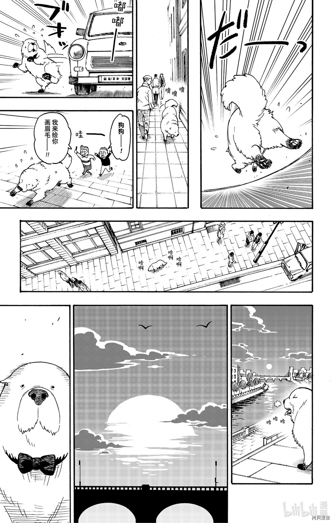 间谍过家家[拷贝漫画]韩漫全集-第40话无删减无遮挡章节图片 