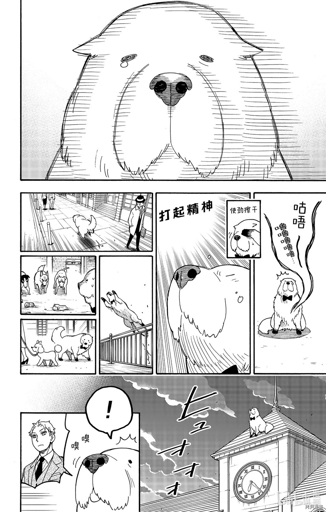 间谍过家家[拷贝漫画]韩漫全集-第40话无删减无遮挡章节图片 