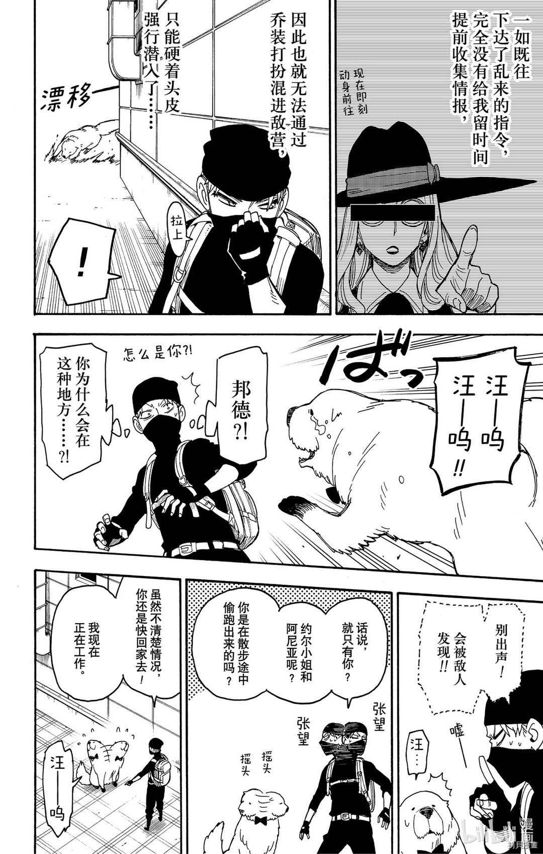 间谍过家家[拷贝漫画]韩漫全集-第40话无删减无遮挡章节图片 