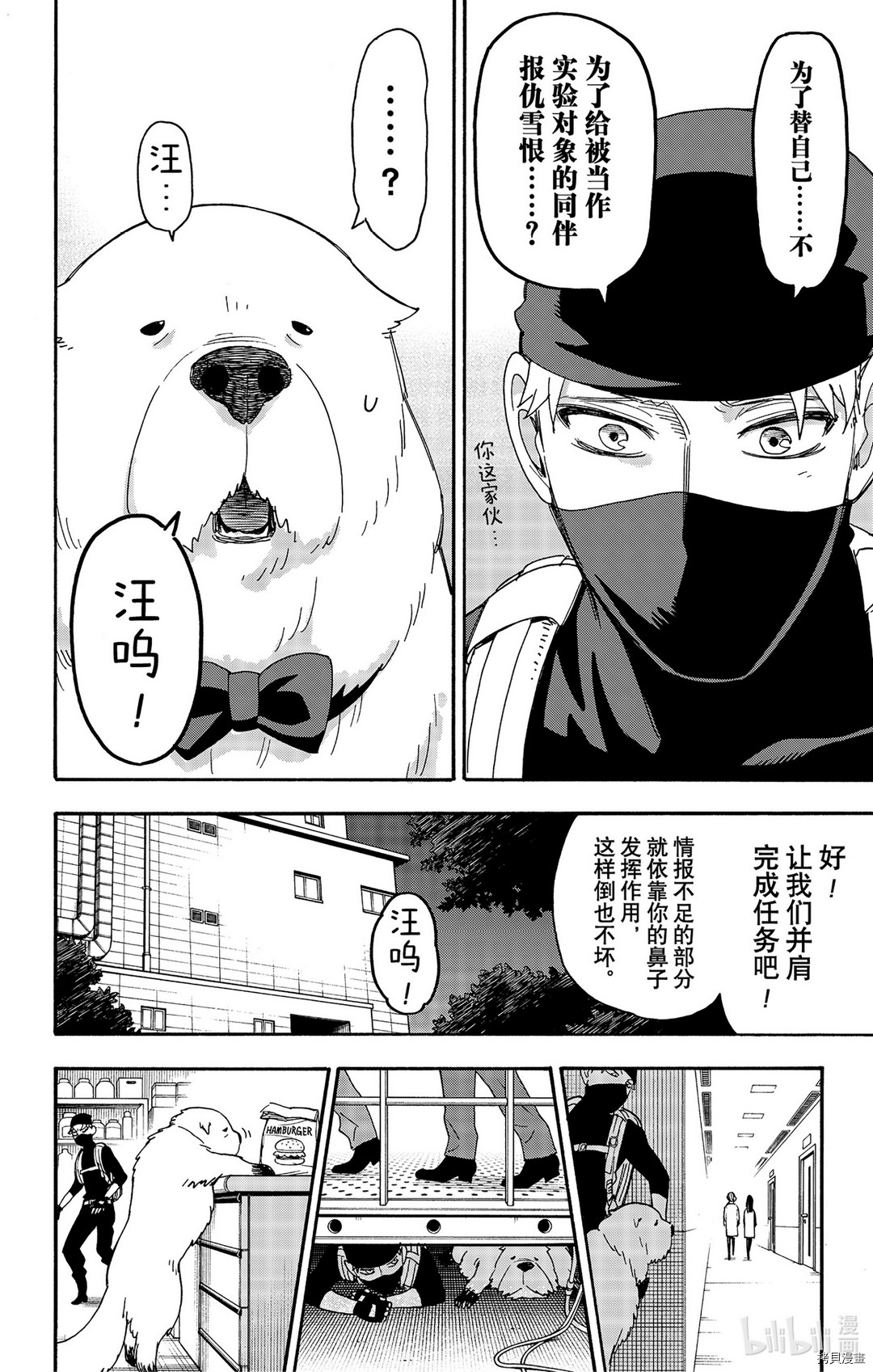 间谍过家家[拷贝漫画]韩漫全集-第40话无删减无遮挡章节图片 