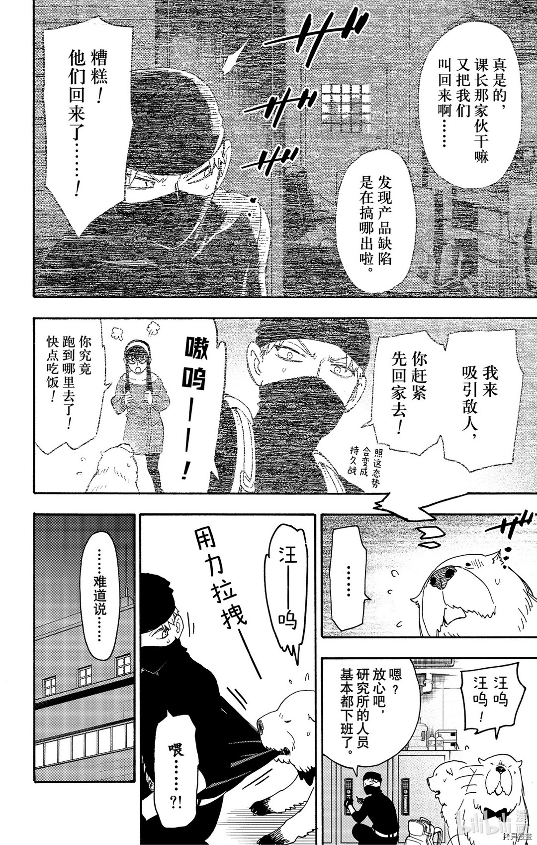 间谍过家家[拷贝漫画]韩漫全集-第40话无删减无遮挡章节图片 