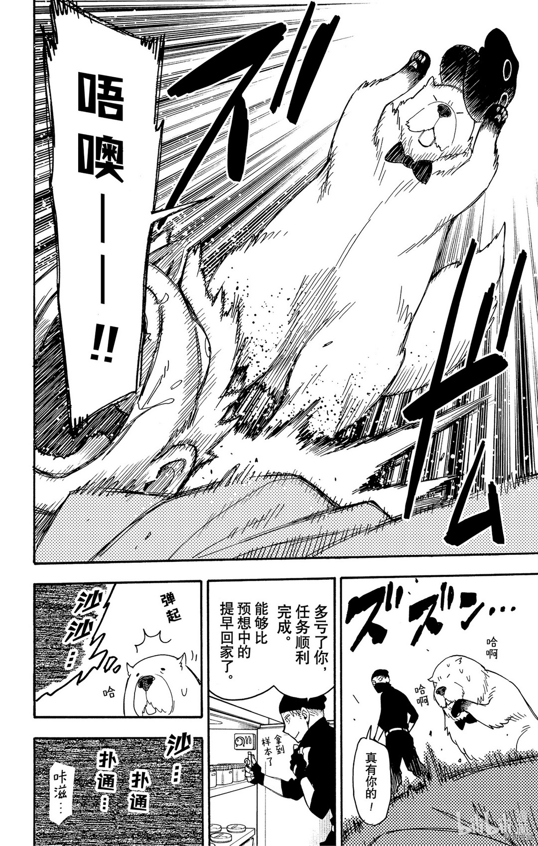 间谍过家家[拷贝漫画]韩漫全集-第40话无删减无遮挡章节图片 