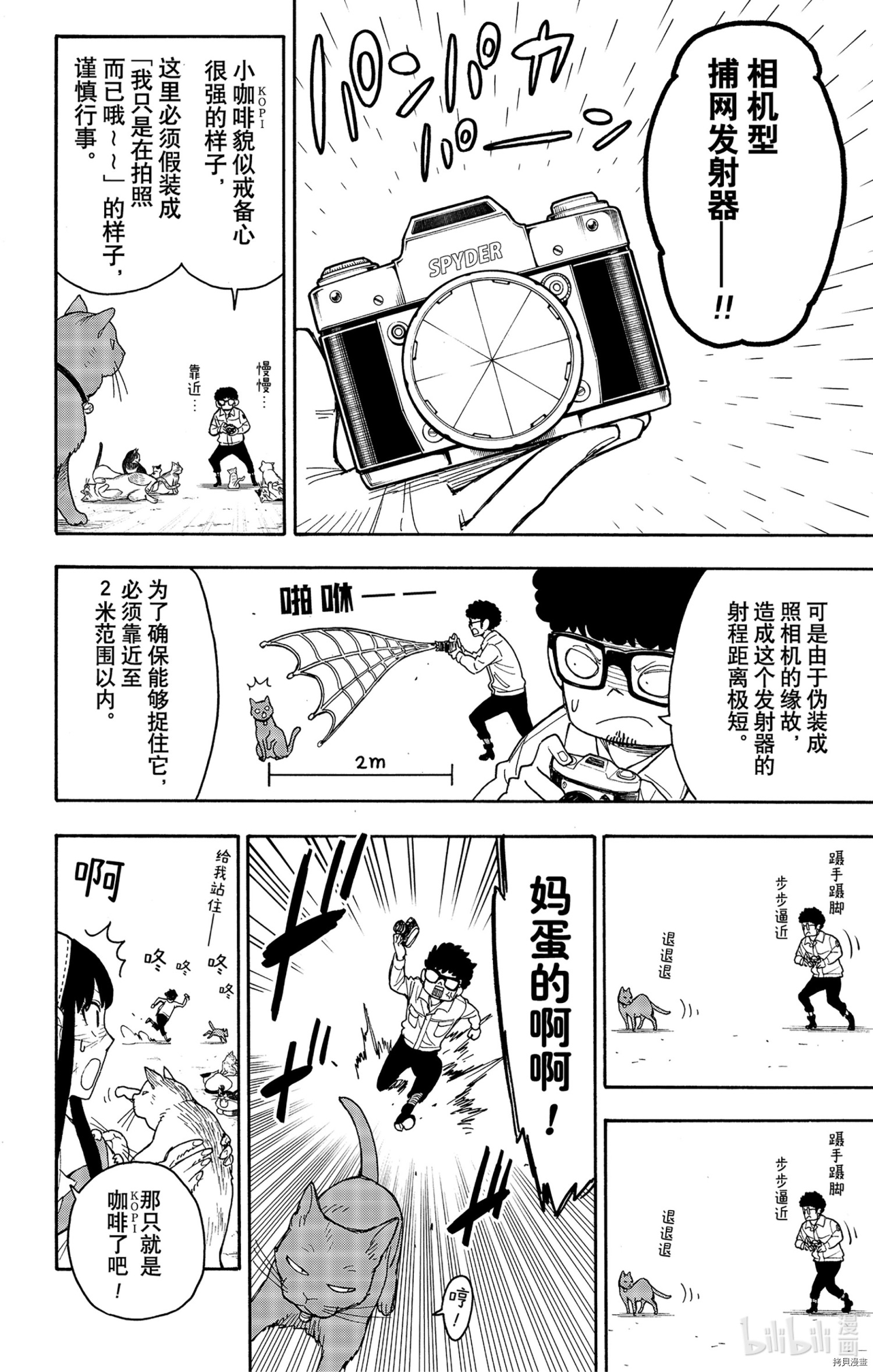 间谍过家家[拷贝漫画]韩漫全集-第43话无删减无遮挡章节图片 