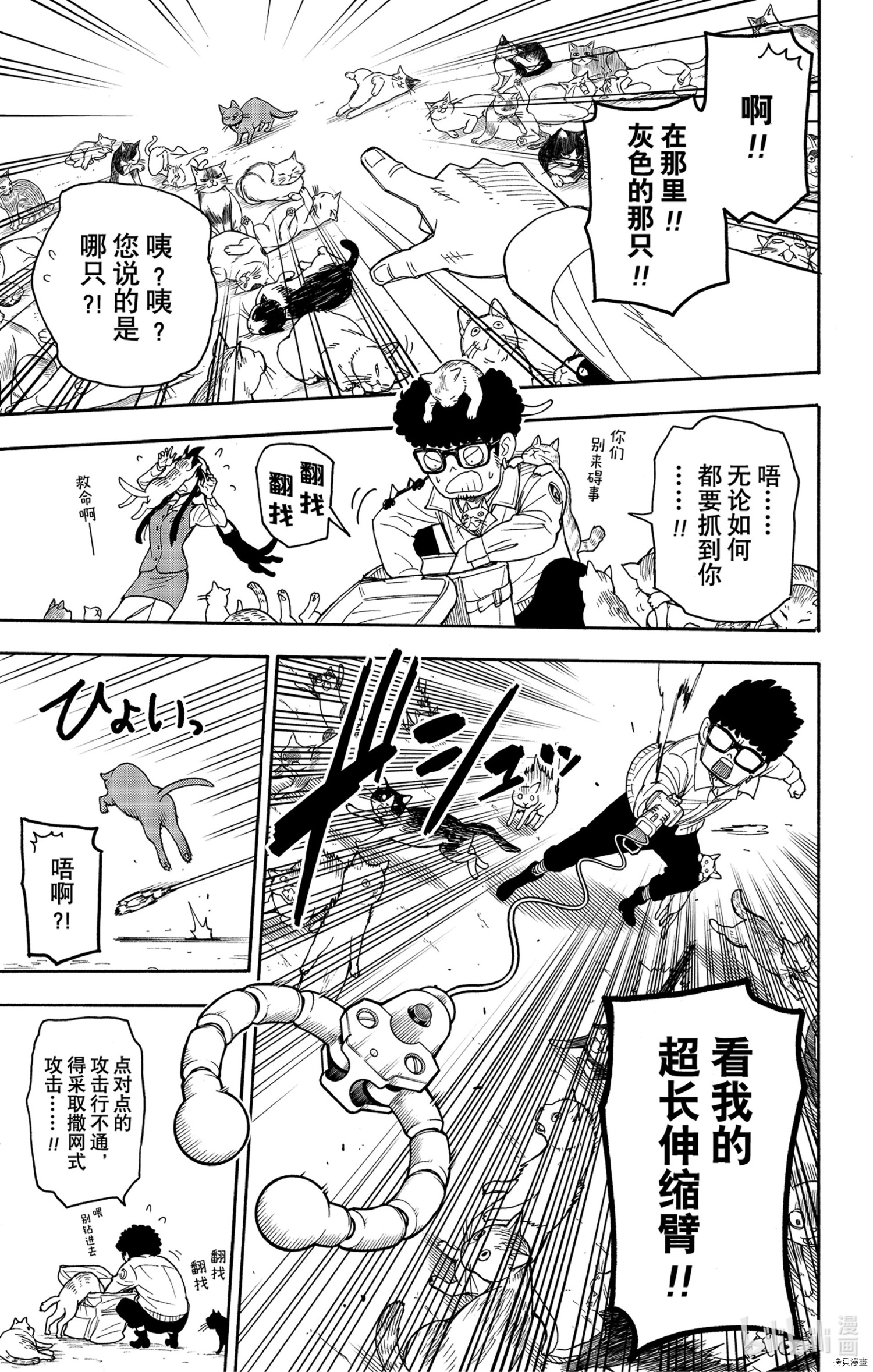 间谍过家家[拷贝漫画]韩漫全集-第43话无删减无遮挡章节图片 