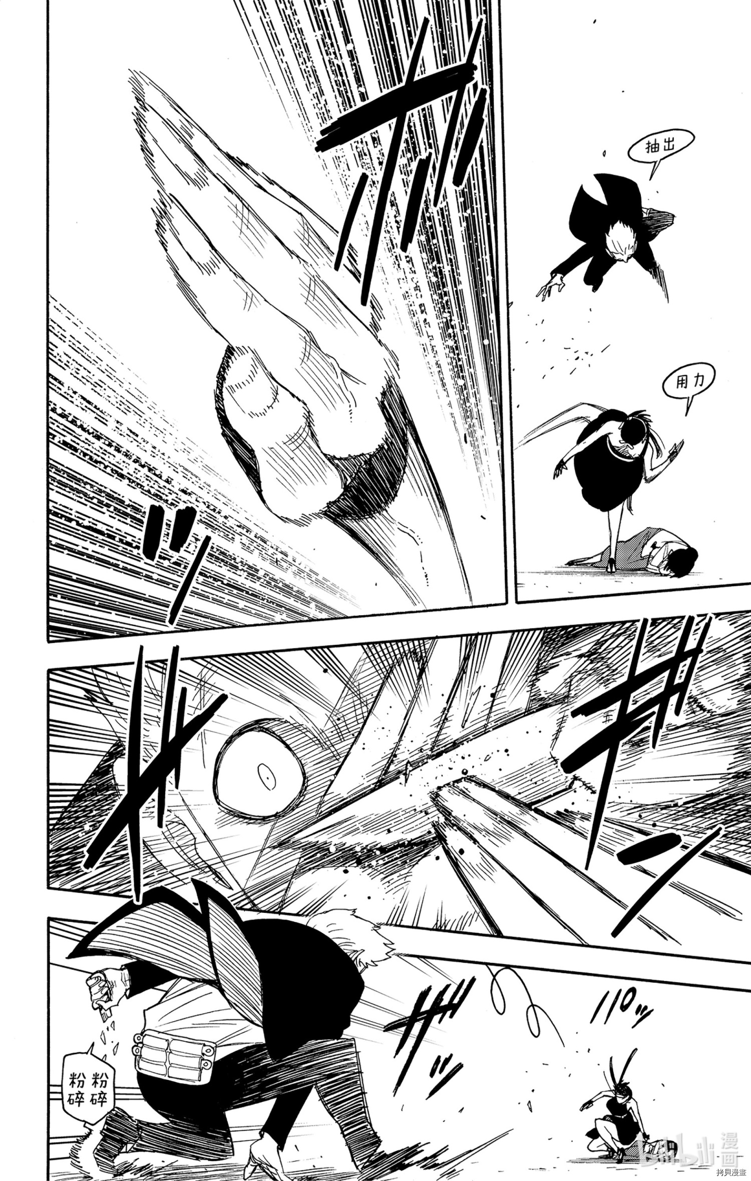 间谍过家家[拷贝漫画]韩漫全集-第51话无删减无遮挡章节图片 