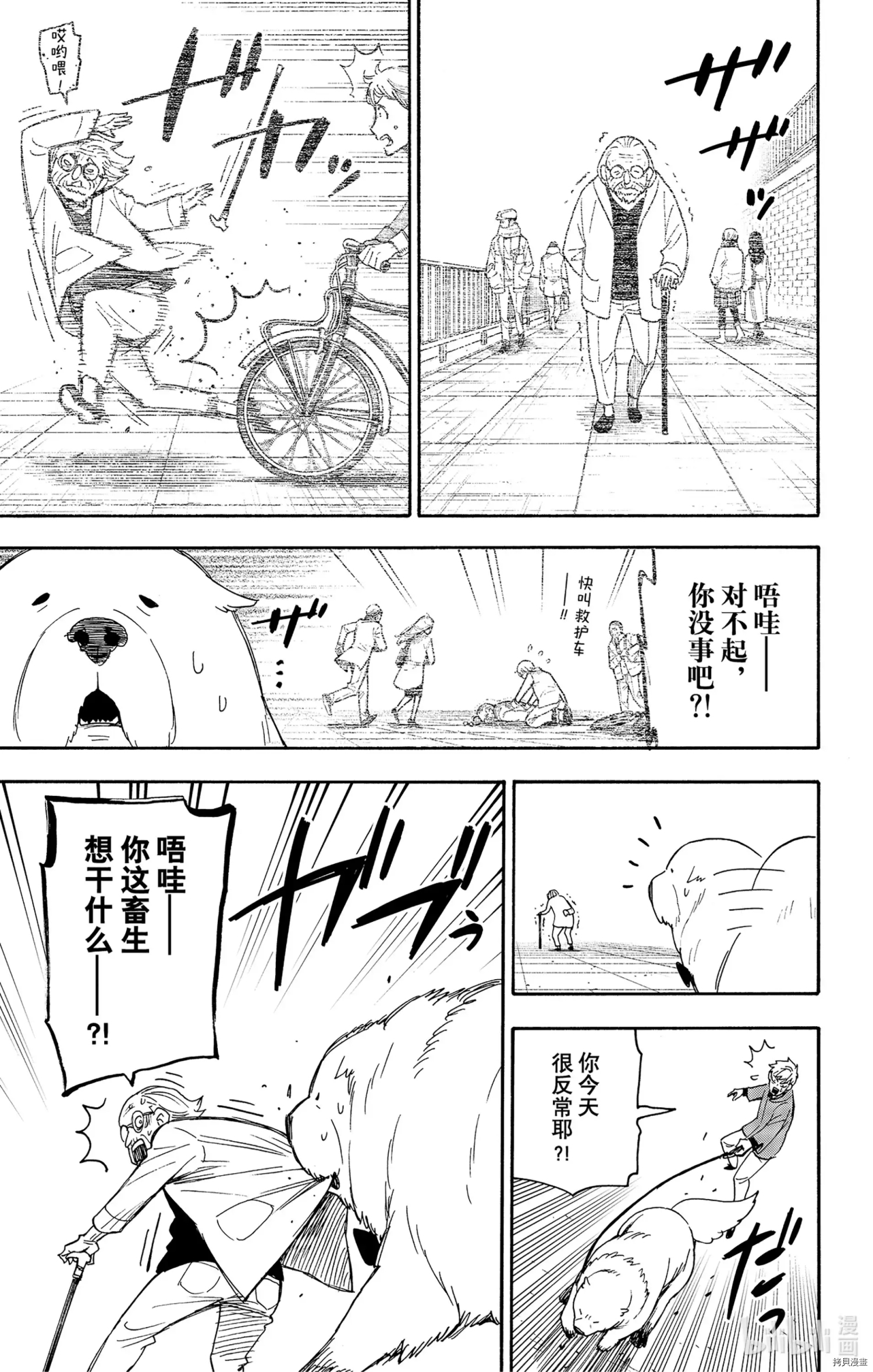 间谍过家家[拷贝漫画]韩漫全集-第58话无删减无遮挡章节图片 