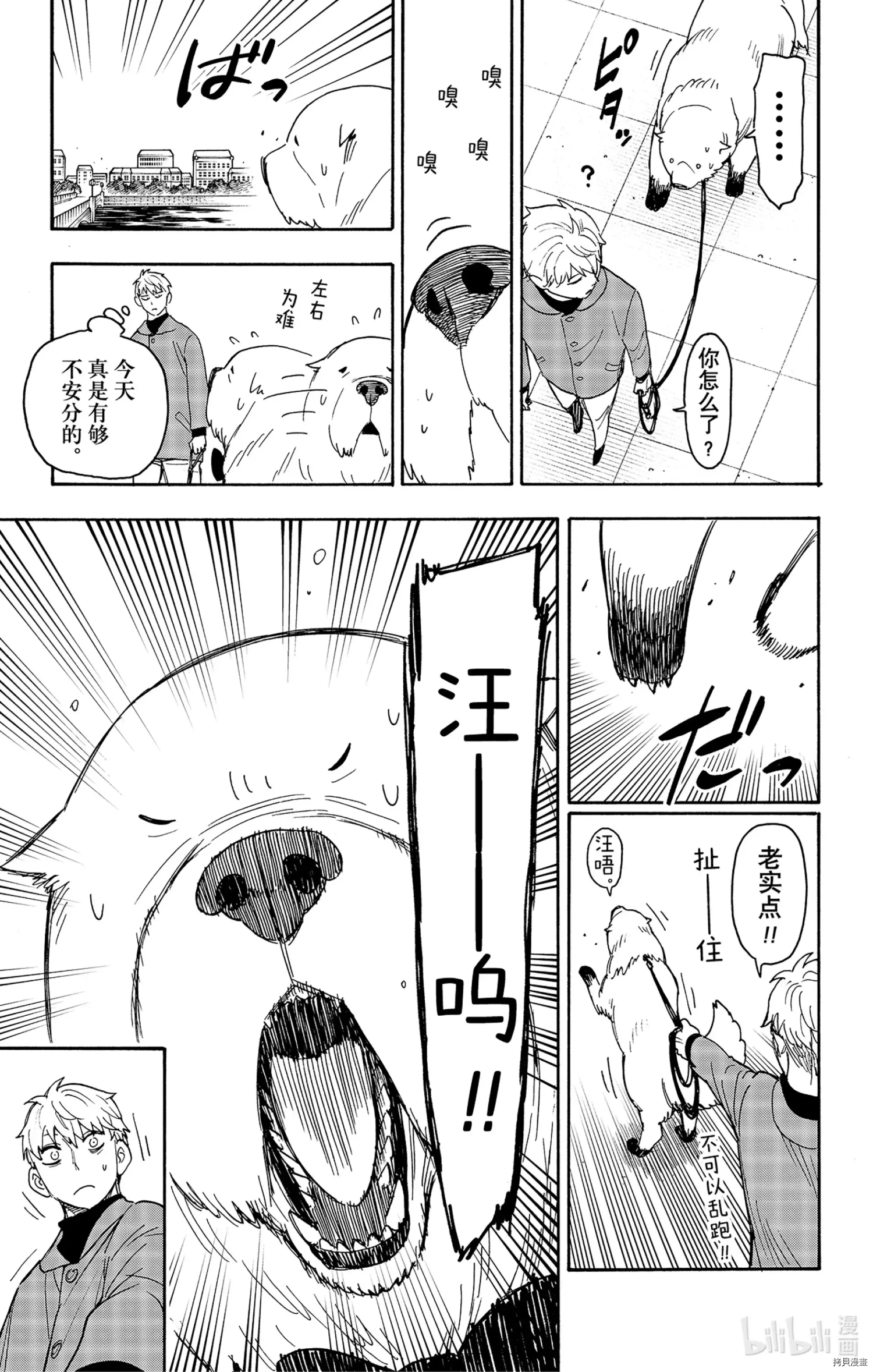 间谍过家家[拷贝漫画]韩漫全集-第58话无删减无遮挡章节图片 