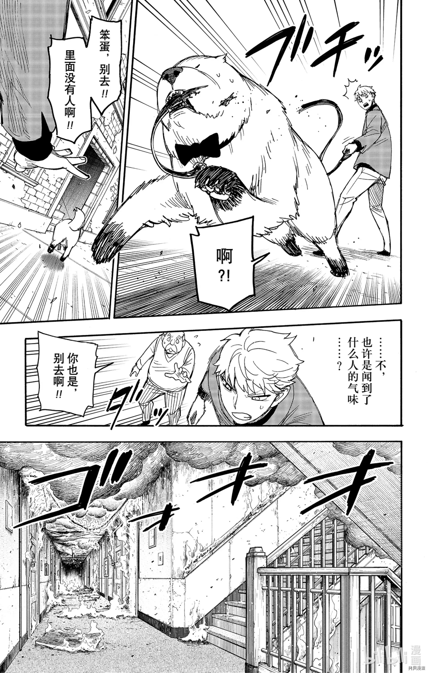 间谍过家家[拷贝漫画]韩漫全集-第58话无删减无遮挡章节图片 